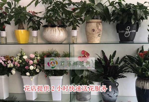 金华花店提供金华2小时快速送花服务