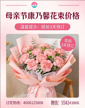 金华花店母亲节康乃馨花束