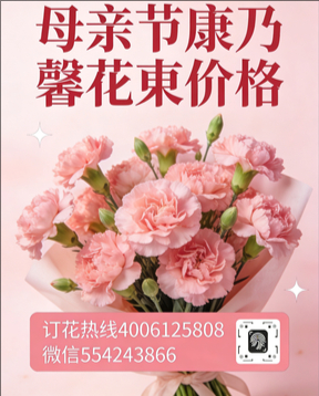 金华花店母亲节康乃馨花束